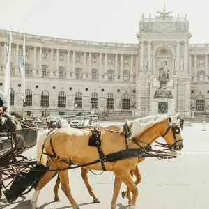 Explore Imperial Cities featuring Prague, Vienna & Budapest (Prague to Budapest) (2026) for 11 days with Collette and discover unforgettable experiences - Photo 7