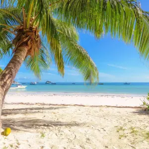 Explore Seychelles & Indian Ocean Adventure 2027 - 13 Days (from Mombasa to Mahe Island) for 13 days with Emerald Cruises and discover unforgettable experiences - Photo 3