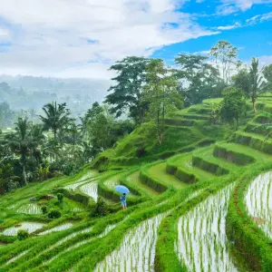 Bali - Natural Wonders, Temples and the Sea - 16 days with Gebeco - Photo 4 Explore Bali - Natural Wonders, Temples and the Sea for 16 days with Gebeco and discover unforgettable experiences - Photo 4