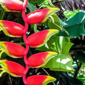 French Polynesia by Land and Sea - 17 days with Gebeco - Photo 2 Explore French Polynesia by Land and Sea for 17 days with Gebeco and discover unforgettable experiences - Photo 2