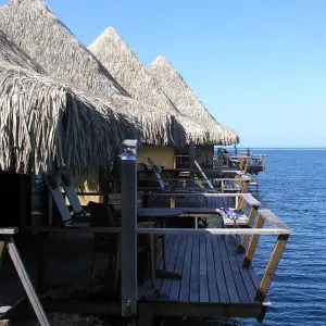 French Polynesia by Land and Sea - 17 days with Gebeco - Photo 4 Explore French Polynesia by Land and Sea for 17 days with Gebeco and discover unforgettable experiences - Photo 4