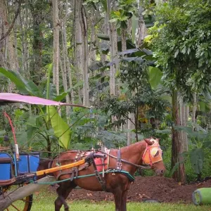 Explore Vietnam Southern Adventure 3 Day 2 Night Exploring Da Lat- Khanh Le Pass- Bao Dai palace- Flower Garden & Crazy House- Xuan Huong Lake for 3 days with Go Asia Travel and discover unforgettable experiences - Photo 3