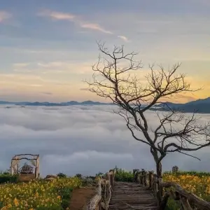 Explore Vietnam Southern Adventure 3 Day 2 Night Exploring Da Lat- Khanh Le Pass- Bao Dai palace- Flower Garden & Crazy House- Xuan Huong Lake for 3 days with Go Asia Travel and discover unforgettable experiences - Photo 6