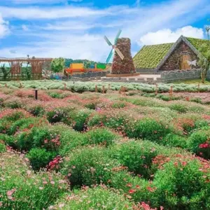 Explore Vietnam Southern Adventure 3 Day 2 Night Exploring Da Lat- Khanh Le Pass- Bao Dai palace- Flower Garden & Crazy House- Xuan Huong Lake for 3 days with Go Asia Travel and discover unforgettable experiences - Photo 10