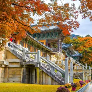 Explore 2025 Discover Korea in 7days:  A Curated All-Inclusive Experience for 7 days with HanaTour ITC and discover unforgettable experiences - Photo 9