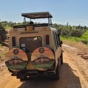 Explore Murchison Falls Wildlife Safari 3 Days/2 Nights for 3 days with Across Africa Tours & Travel and discover unforgettable experiences - Photo 4