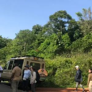 Explore Murchison Falls Wildlife Safari 3 Days/2 Nights for 3 days with Across Africa Tours & Travel and discover unforgettable experiences - Photo 10