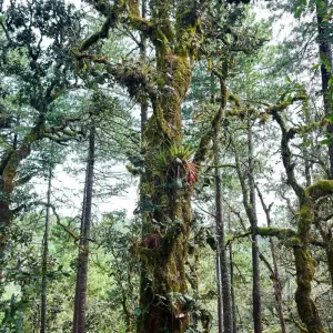 Explore The Enchanting Sierra Norte Trek 3D/2N for 3 days with Bamba Travel and discover unforgettable experiences - Photo 2