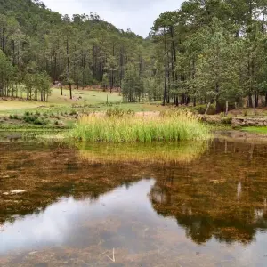 Explore The Enchanting Sierra Norte Trek 3D/2N for 3 days with Bamba Travel and discover unforgettable experiences - Photo 7