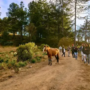 Explore The Enchanting Sierra Norte Trek 3D/2N for 3 days with Bamba Travel and discover unforgettable experiences - Photo 9