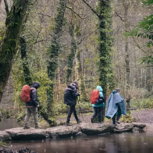 Explore Way of St. James · Portuguese Way · From Tui to Santiago de Compostela for 8 days with CAMINO DE SANTIAGO RESERVAS and discover unforgettable experiences - Photo 4