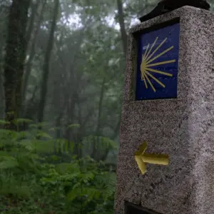 Explore Way of St. James · Portuguese Way · From Tui to Santiago de Compostela for 8 days with CAMINO DE SANTIAGO RESERVAS and discover unforgettable experiences - Photo 9