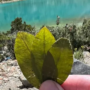 Explore 5 - Days Condor Lookout + Salkantay for 5 days with Crossover Peru and discover unforgettable experiences - Photo 5