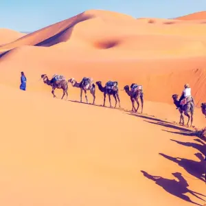 Explore 10 Days Morocco Highlights Tour - Sahara Desert and imperial cities for 10 days with Desert vie  and discover unforgettable experiences - Photo 5