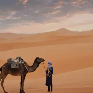 Explore 10 Days Morocco Highlights Tour - Sahara Desert and imperial cities for 10 days with Desert vie  and discover unforgettable experiences - Photo 8