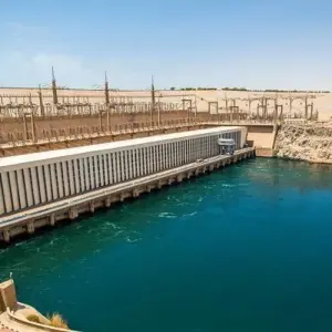 Explore Private Guided Day Tour to Aswan and Nubian Village from Luxor by Car for 1 days with Egypt Gift Tours and discover unforgettable experiences - Photo 10