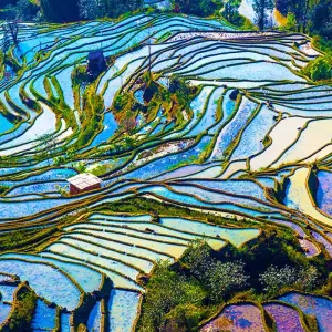 Explore Experience traditional southern China for 18 days with Gebeco and discover unforgettable experiences - Photo 2