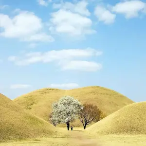 Explore 2025 Check-in Korea with Jeju Island in 16days: A Curated All-Inclusive Experience for 16 days with HanaTour ITC and discover unforgettable experiences - Photo 10