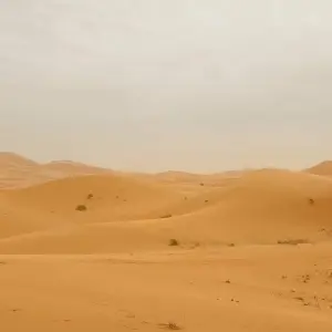 Explore 8-Day Group Imperial Cities & Sahara Desert Tour of Morocco From Casablanca to Marrakesh for 8 days with Imago Travel and discover unforgettable experiences - Photo 5