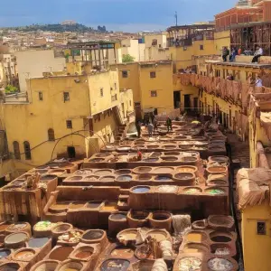 Explore 8-Day Group Imperial Cities & Sahara Desert Tour of Morocco From Casablanca to Marrakesh for 8 days with Imago Travel and discover unforgettable experiences - Photo 7