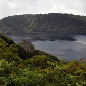 Explore Equatorial Guinea extension: Bioko Island Cultural & Nature Immersion for 5 days with Penguin Travel and discover unforgettable experiences - Photo 3