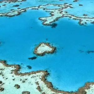 Explore Cairns and the Great Barrier Reef (Short Break) for 4 days with AAT Kings and discover unforgettable experiences - Photo 2