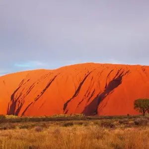 Explore Red Centre Highlights (Superior, Short Break) for 4 days with AAT Kings and discover unforgettable experiences - Photo 5