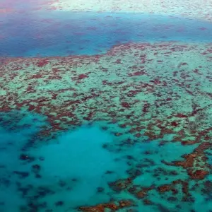 Explore Cairns and the Great Barrier Reef (Short Break) for 4 days with AAT Kings and discover unforgettable experiences - Photo 10