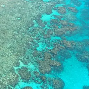 Explore Tropical Reef and Rainforest (Short Break) for 4 days with AAT Kings and discover unforgettable experiences - Photo 2