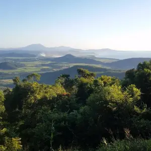 Explore Tropical Reef and Rainforest (Short Break) for 4 days with AAT Kings and discover unforgettable experiences - Photo 8