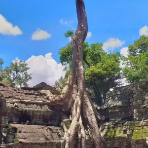 Explore Cambodia & Laos Highlights 7 Day Private Tour from Siem Reap to Luang Prabang for 7 days with About Cambodia Travel & Tours and discover unforgettable experiences - Photo 2