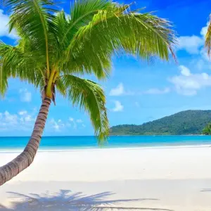 Explore Exploring Maldives: Fihalhohi, Maafushi and Kuda Bandos Islands for 7 days with Aitken Spence Travel and discover unforgettable experiences - Photo 5