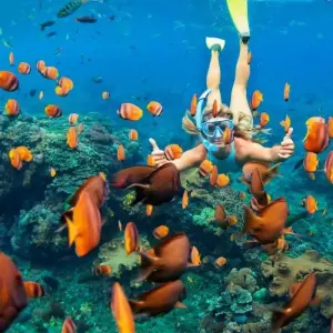 Explore Exploring Maldives: Fihalhohi, Maafushi and Kuda Bandos Islands for 7 days with Aitken Spence Travel and discover unforgettable experiences - Photo 6