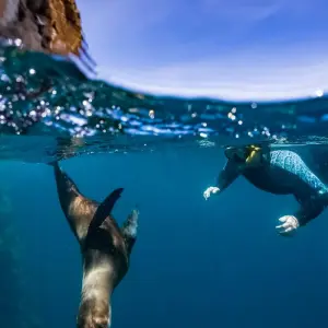 Explore From the Inca Empire to the Peruvian Amazon with the Nazca Lines & Galápagos Cruise 2026 for 20 days with Avalon Waterways and discover unforgettable experiences - Photo 10