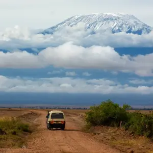 Explore On Safari in Kenya & Tanzania with Nairobi & Zanzibar for 14 days with Cosmos and discover unforgettable experiences - Photo 6