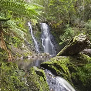 Explore Highlights of Tasmania's West Coast for 5 days with DIAMIR Erlebnisreisen and discover unforgettable experiences - Photo 2