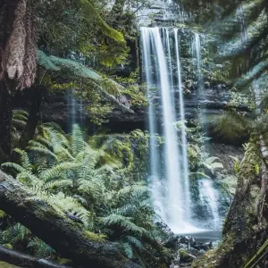 Explore Highlights of Tasmania's West Coast for 5 days with DIAMIR Erlebnisreisen and discover unforgettable experiences - Photo 4