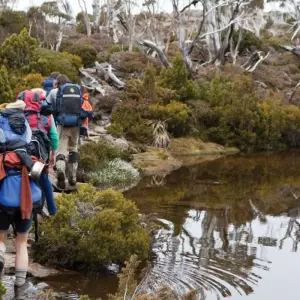 Explore Highlights of Tasmania's West Coast for 5 days with DIAMIR Erlebnisreisen and discover unforgettable experiences - Photo 6