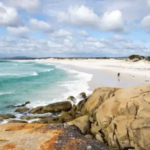 Explore Highlights of Tasmania's East Coast for 5 days with DIAMIR Erlebnisreisen and discover unforgettable experiences - Photo 6