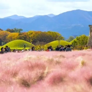 Explore 2025 Discover Eastern Korea in 4days: A Curated All-Inclusive Experience for 4 days with HanaTour ITC and discover unforgettable experiences - Photo 4