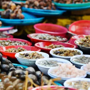 Explore 2025 Discover Eastern Korea in 4days: A Curated All-Inclusive Experience for 4 days with HanaTour ITC and discover unforgettable experiences - Photo 6