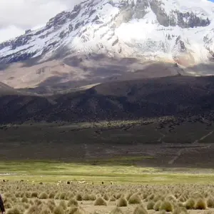 Explore 15 Days Bolivia Trekking: The Magic of the Mountains for 15 days with Responsible Travel South America and discover unforgettable experiences - Photo 7