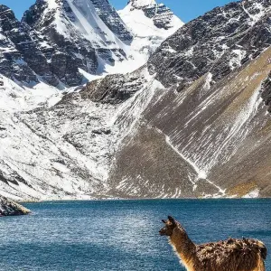 Explore 15 Days Bolivia Trekking: The Magic of the Mountains for 15 days with Responsible Travel South America and discover unforgettable experiences - Photo 11