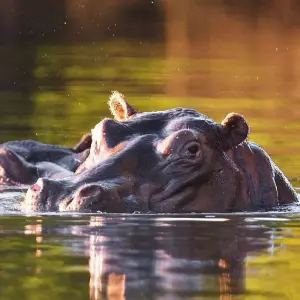 Explore Explore Northern Zambia’s Hidden Gems 13 Days/12 Nights for 13 days with Across Africa Tours & Travel and discover unforgettable experiences - Photo 11