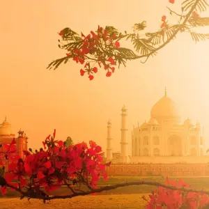 Explore Private 2-Day Taj Mahal Sunrise Trip from Bangalore: Luxury Hotels, Flights and Skip-the-Line Tickets for 2 days with Adreva Trotter Pvt Ltd and discover unforgettable experiences - Photo 3
