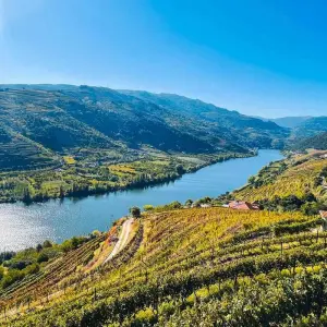 Explore Treasures of Portugal 2026 for 10 days with Bunnik Tours and discover unforgettable experiences - Photo 10