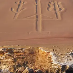 Explore ICA PARACAS FULL DAY for 1 days with Crossover Peru and discover unforgettable experiences - Photo 6