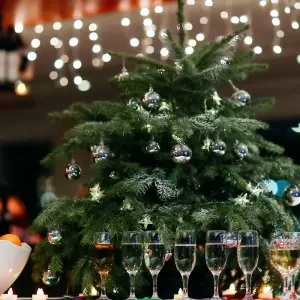 Explore Christmas markets cruise MS Albertina for 5 days with Crucemundo  and discover unforgettable experiences - Photo 4