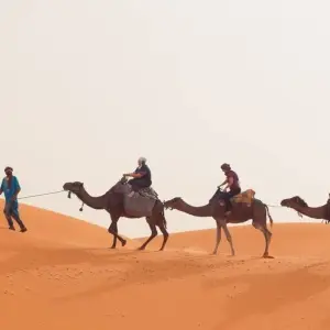 Explore Marrakech Sahara and Gorges 4 Days for 4 days with Easygo Tours and discover unforgettable experiences - Photo 4