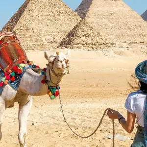 Explore Half-Day Tour of Giza Pyramids and Sphinx from Cairo or Giza Hotel for 1 days with Egypt Gift Tours and discover unforgettable experiences - Photo 11